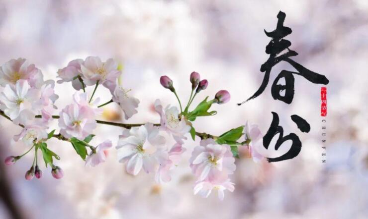 【山東桓藝數(shù)控】春分 | 生活明朗，萬物可愛